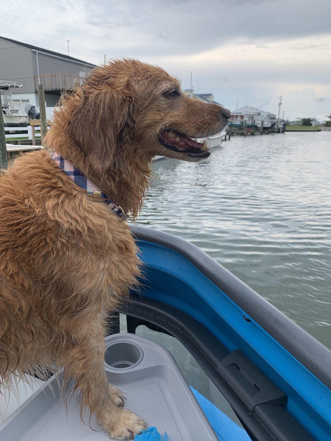 Atlantic Beach Boat Rentals